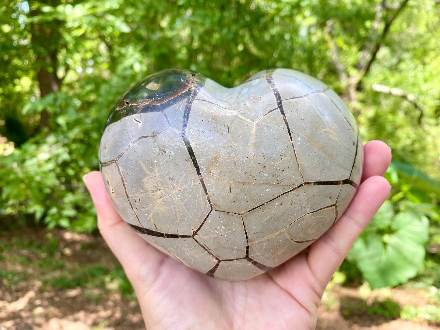XL Septarian Heart Crystal: Madagascar Dragon Egg Stone, Druzy Cluster
