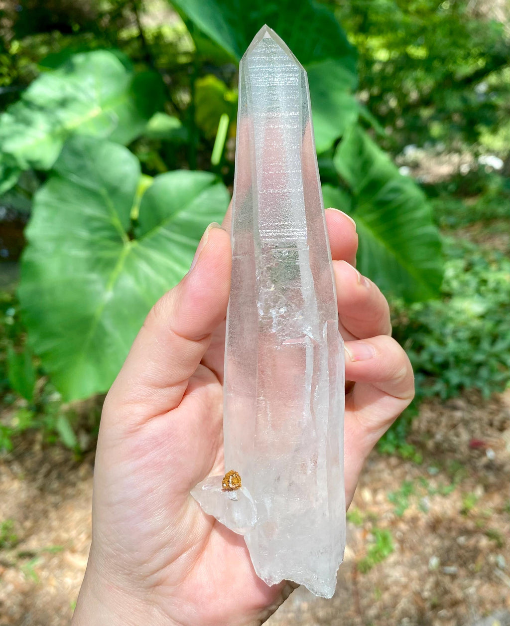 Large Lemurian Quartz Crystal | Healing Point, High Vibration Stone, Meditation & Spiritual Growth, Energy Amplifier.
