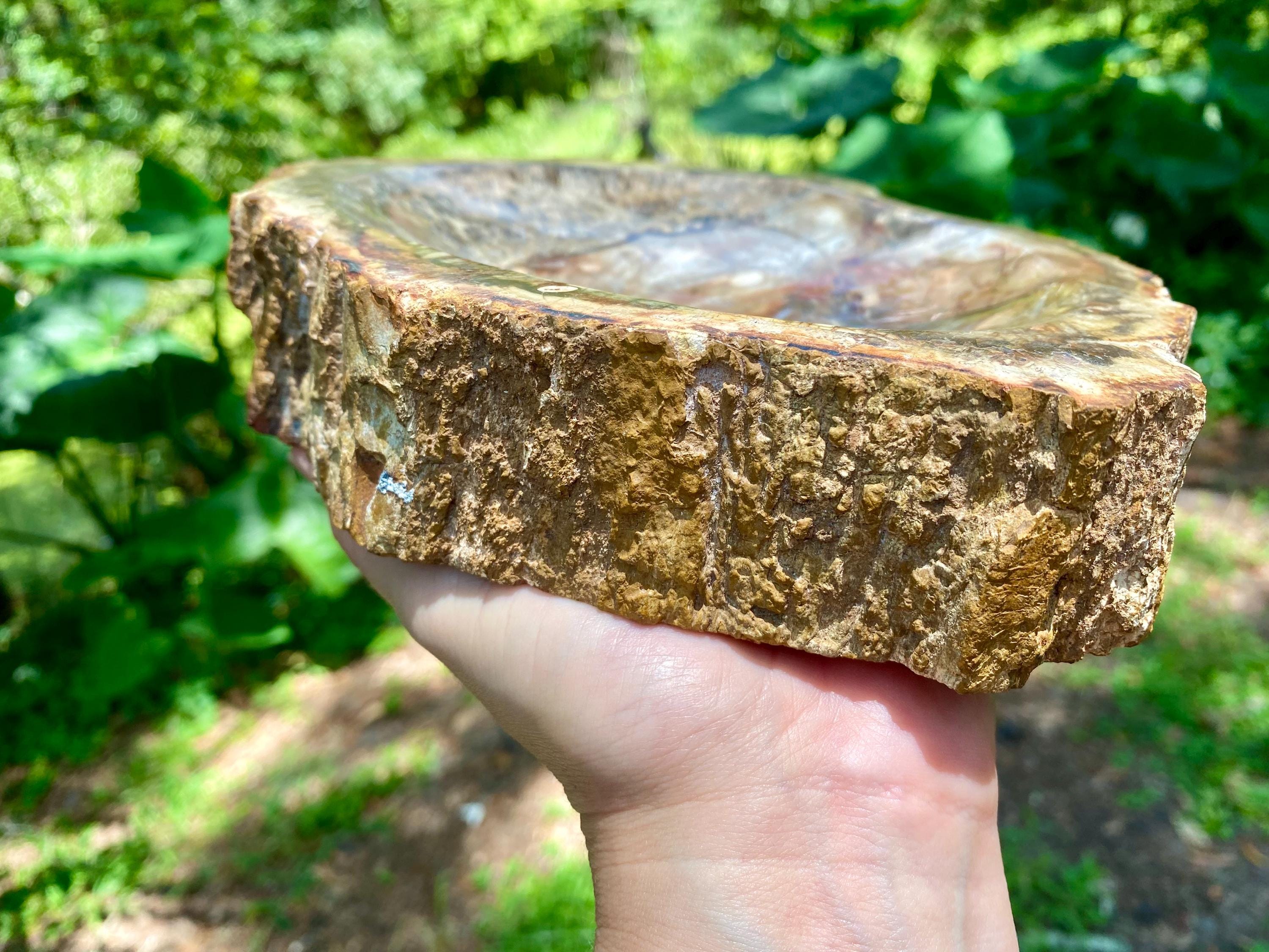 Petrified Wood Bowl: Fossil Stone Crystal Display, Rustic Home Decor