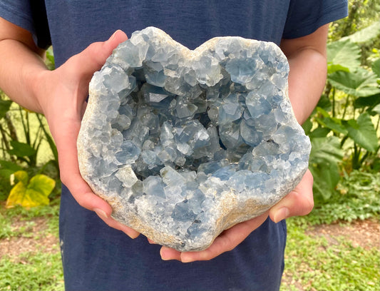 Extra Large Celestite Cluster. Magnificent Blue Celestite Geode.
